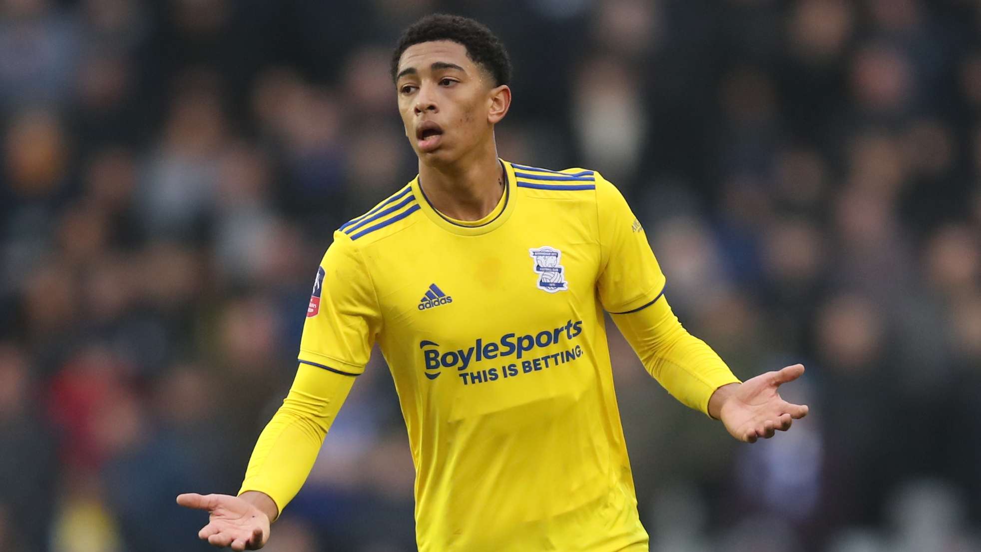 正是球队领 正是球队领