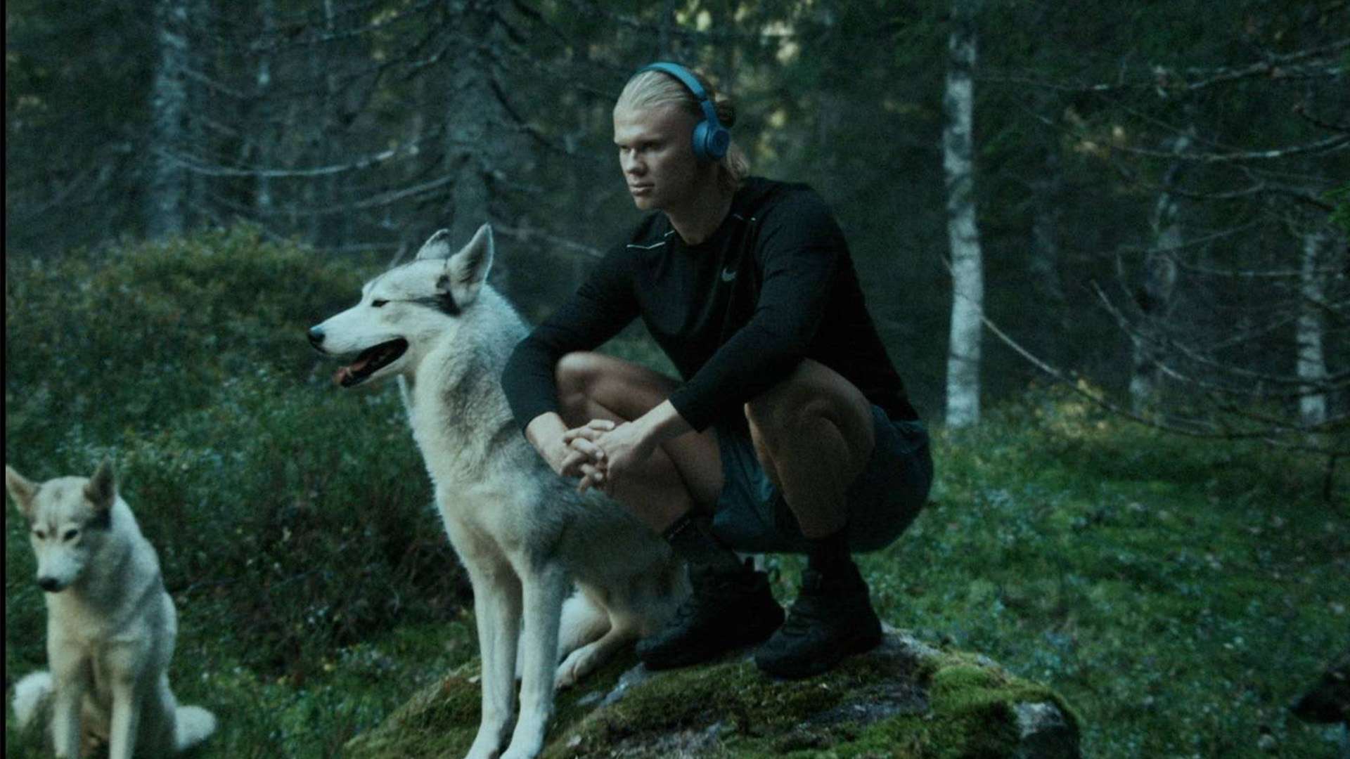 更多人加入 更多人加入